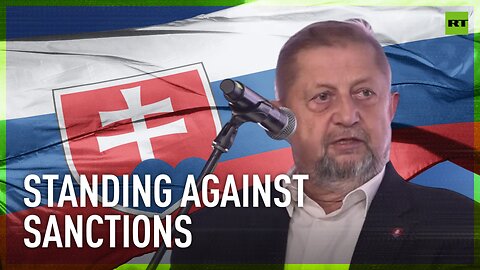 'Anti-Russia sanctions contradict our current legislation' - fmr Slovak justice minister