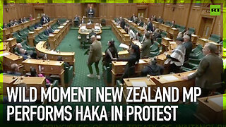 Wild moment New Zealand MP performs haka in protest