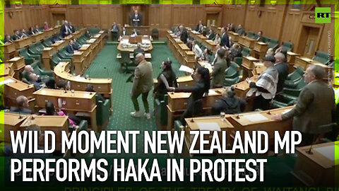 Wild moment New Zealand MP performs haka in protest