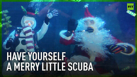 Santa goes scuba! Festive dive brings holiday cheer to Munich Sea Life