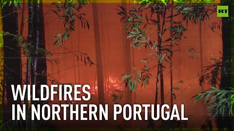 Portuguese firefighters continue to struggle with fierce wildfires