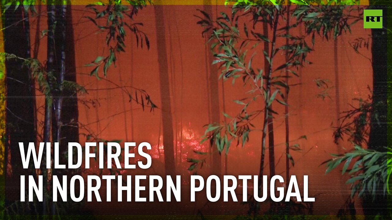 Portuguese firefighters continue to struggle with fierce wildfires