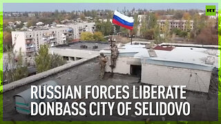 Russian forces liberate Donbass city of Selidovo