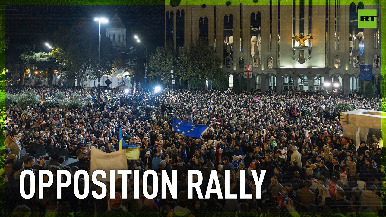 Georgians protest election results