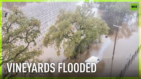 Vineyards devastated by massive flooding in Sonoma County, California