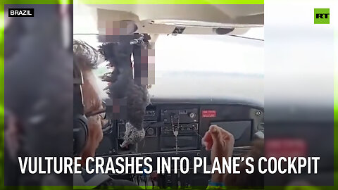 Vulture crashes into plane’s cockpit