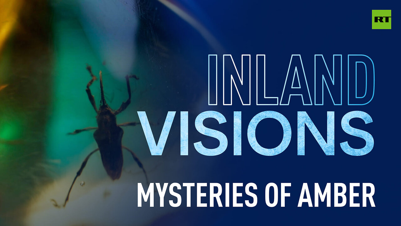 Inland Visions The Allure of Amber Discovering the secrets of