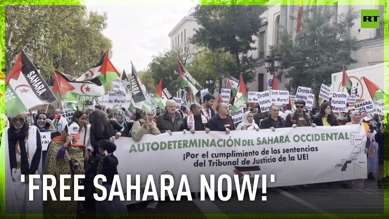 'We are a people without identity': Hundreds march in Madrid to demand Western Sahara independence