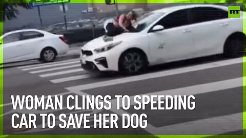 Woman clings to speeding car to save her dog