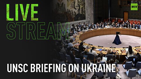 UNSC briefing on Ukraine