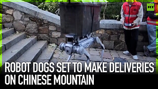 Robot dogs set to make deliveries on Chinese mountain