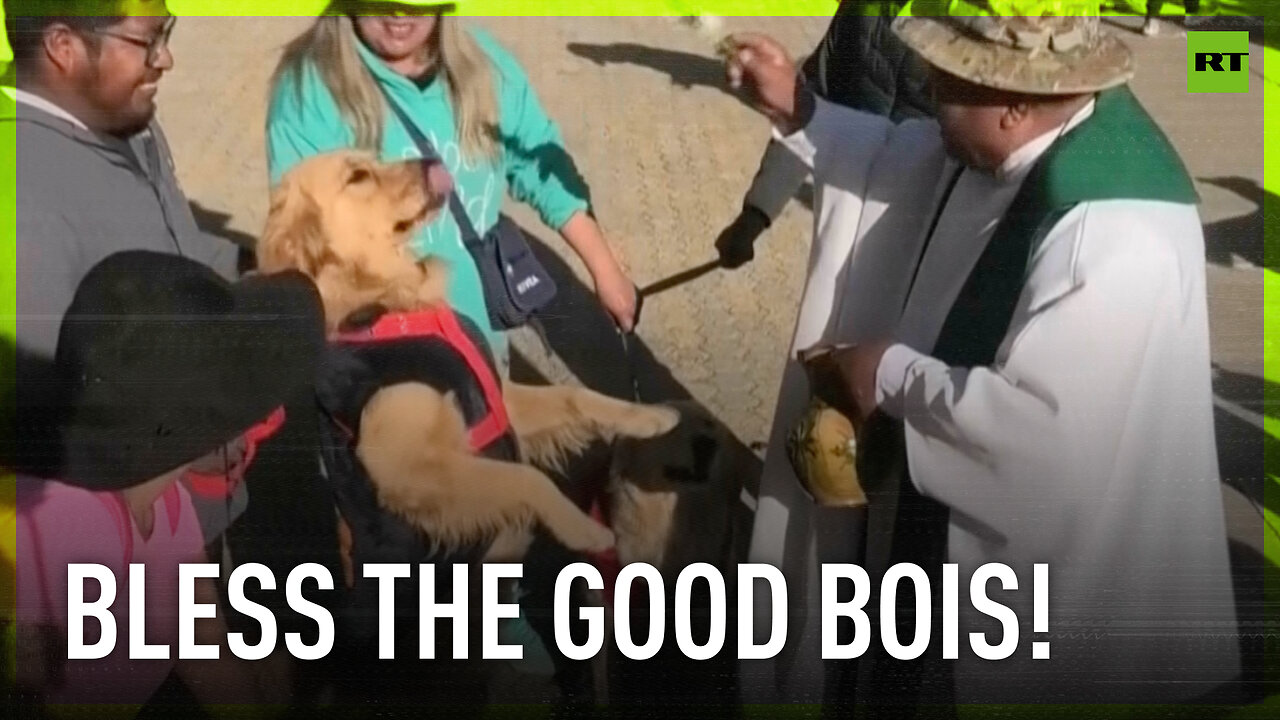 Bolivians take their dogs to be blessed on Saint Roch day