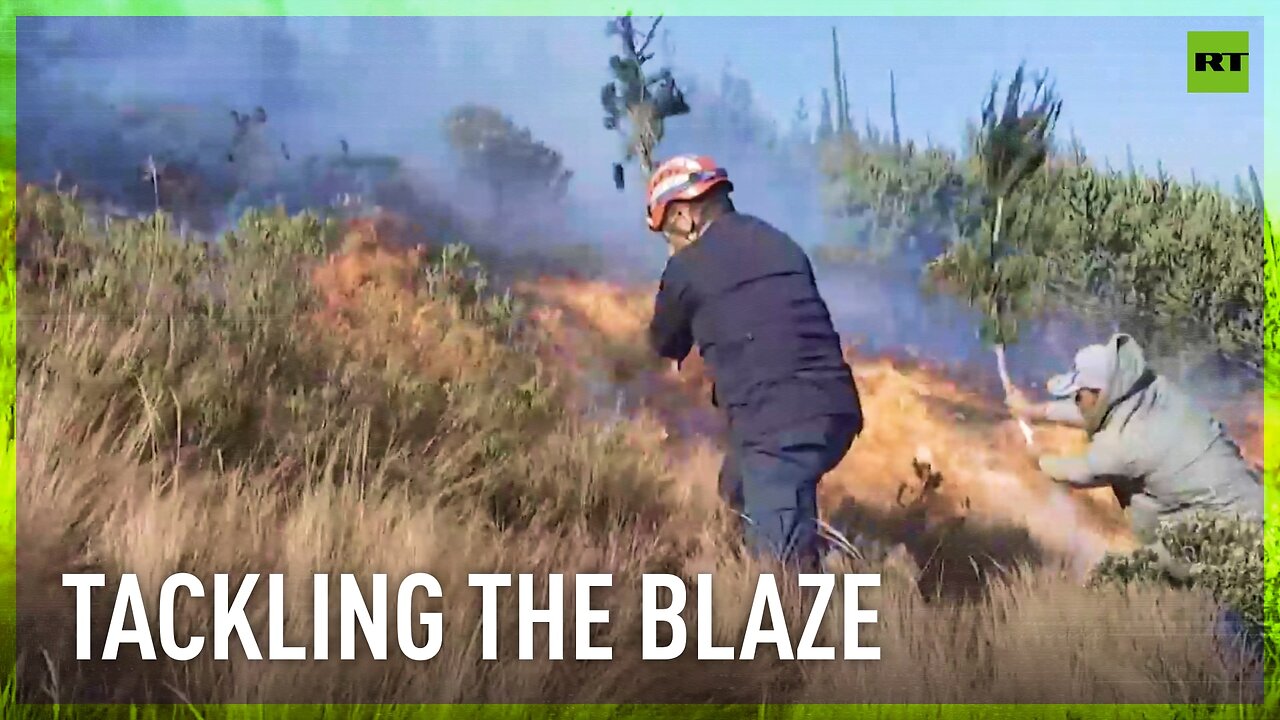 Peru volunteers fight wildfires using branches