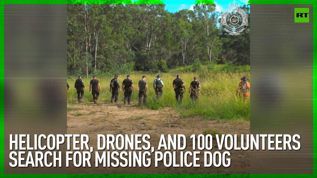 Helicopter, drones, and 100 volunteers search for missing police dog