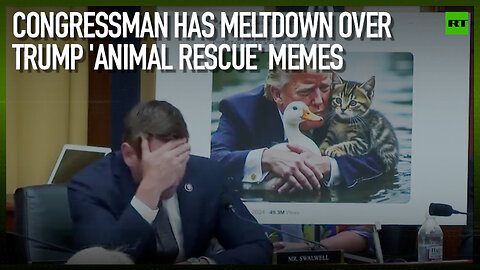 Congressman has meltdown over Trump ‘animal rescue’ memes