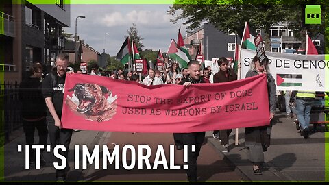 Dutch pro-Gaza activists decry export of service dogs to Israel