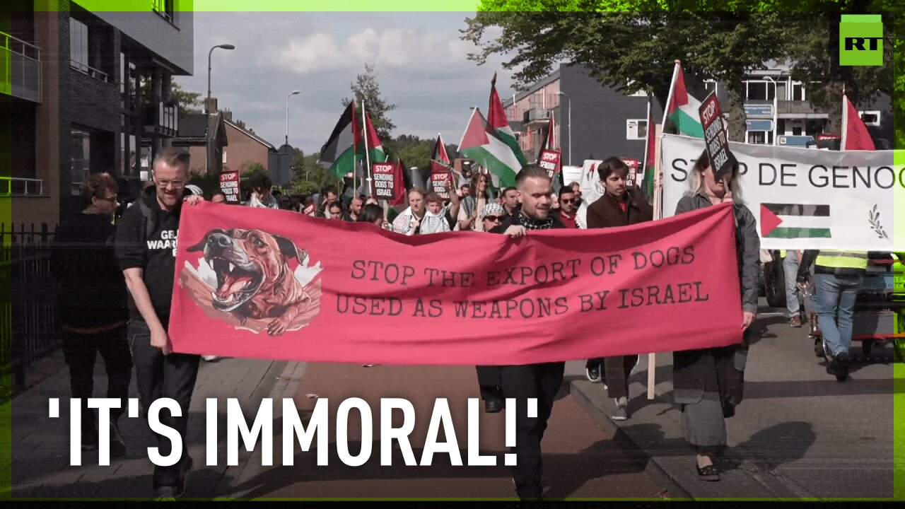 Dutch pro-Gaza activists decry export of service dogs to Israel