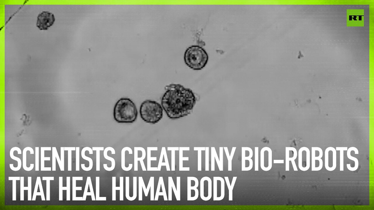 Scientists create tiny bio-robots that heal human body