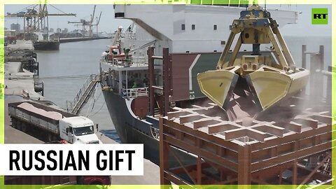 23k tons of Russian fertilizer for Zimbabwe arrives in Mozambique