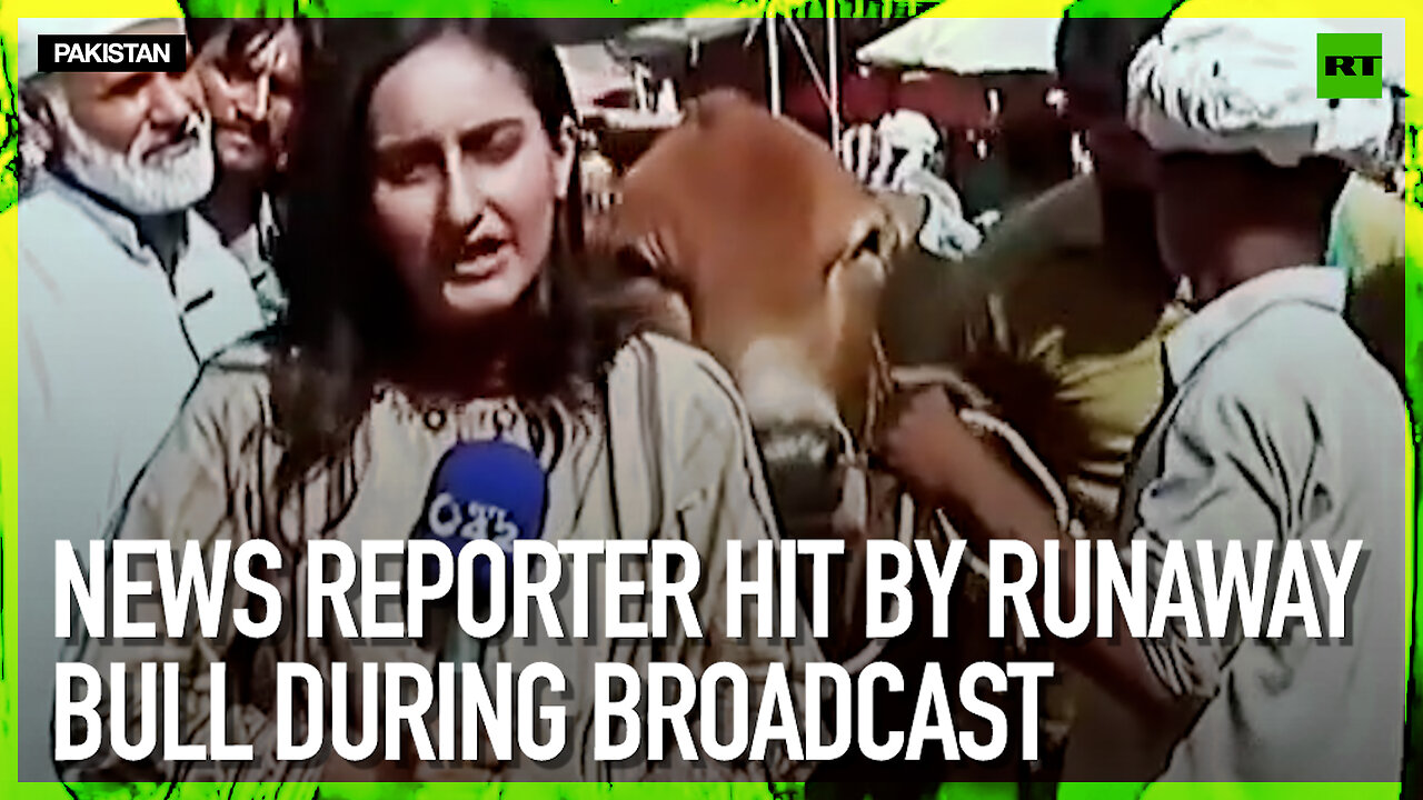 News reporter hit by runaway bull during broadcast