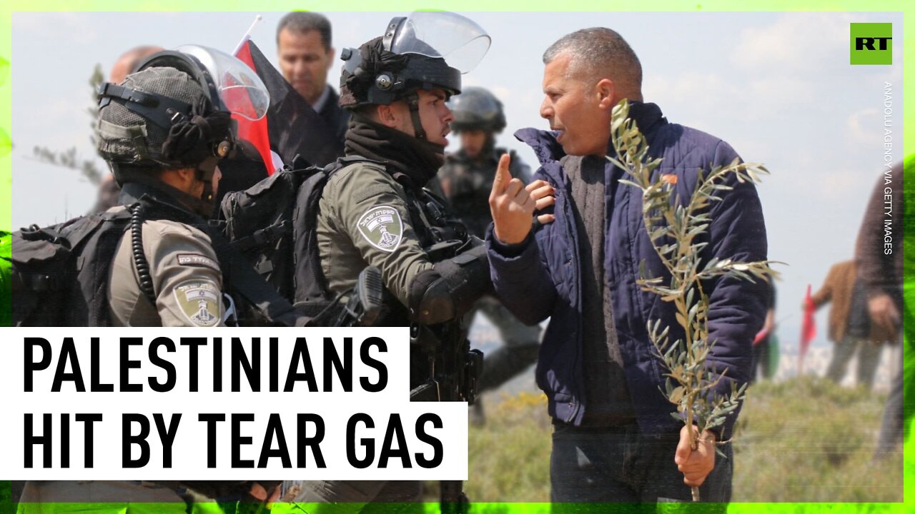 Palestinian activists planting olive trees hit by tear gas