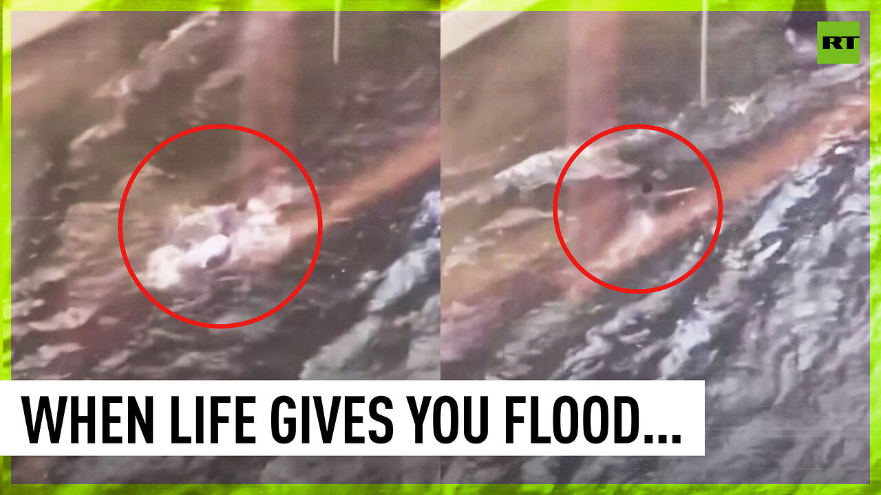 Florida man takes a swim in flooded street