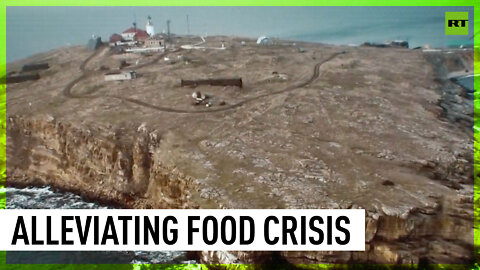 Russia withdraws troops from Snake Island in 'goodwill gesture' to alleviate food crisis