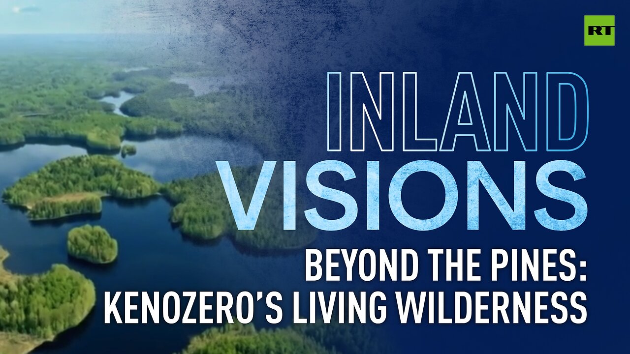 Inland Visions | Beyond the pines: Kenozero’s living wilderness