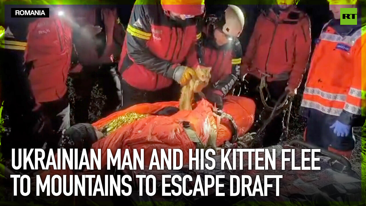 Ukrainian man and his kitten flee to mountains to escape draft