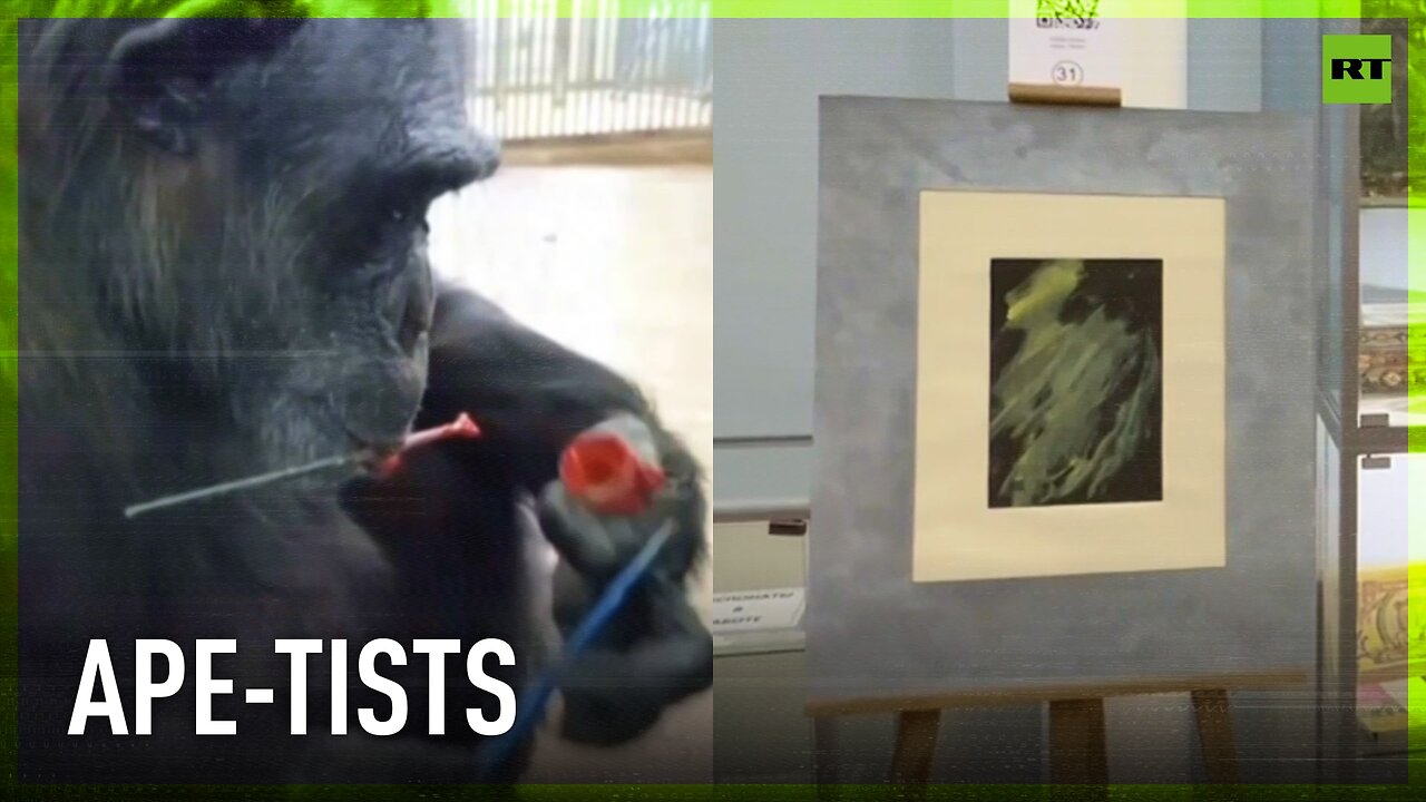 Aspiring artists stage exhibition in Rostov, Russia | Plot twist: they're chimpanzees