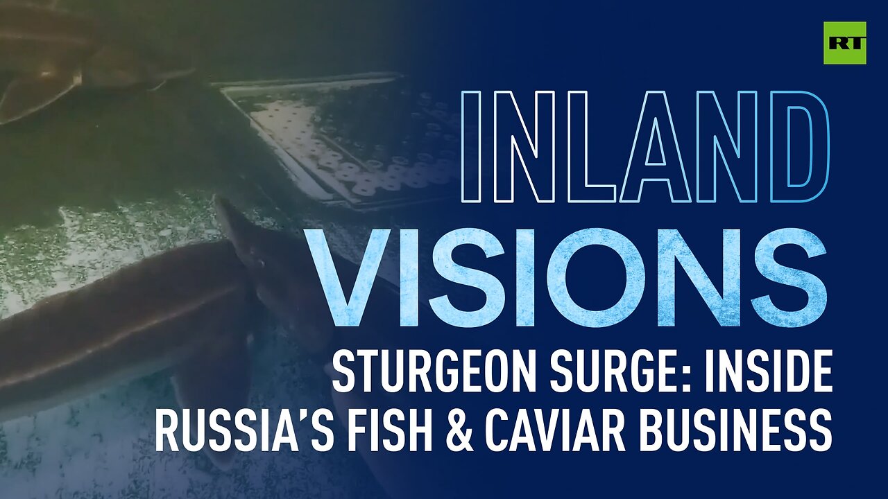 Inland Visions | Sturgeon surge: Inside Russia’s fish & caviar business