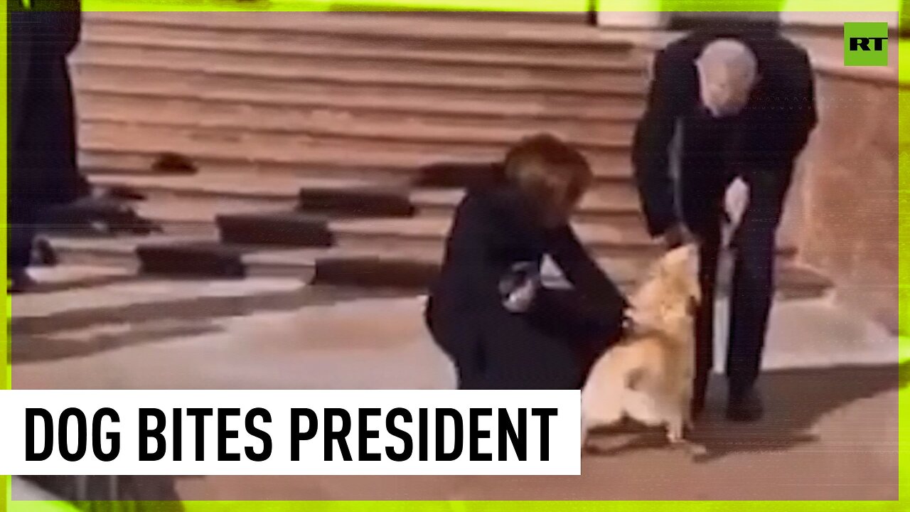 Moldovan president’s dog bites Austrian head of state