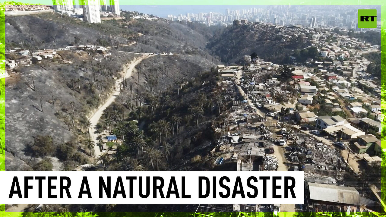 Locals and volunteers clean up aftermath of massive wildfire in Vina del Mar, Chile