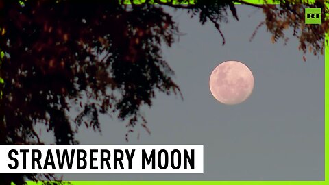 Strawberry Moon lights up Argentinian skies