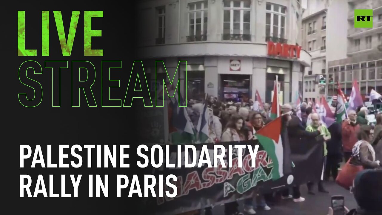 Palestine solidarity protest in Paris, France