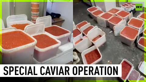 Russian FSB seizes over half a ton of caviar worth more than 3.5 million rubles