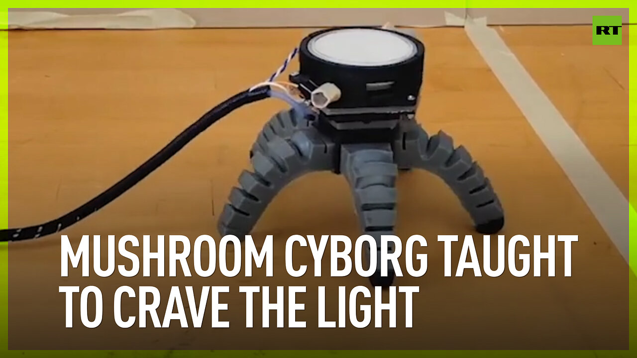 Mushroom cyborg taught to crave the light