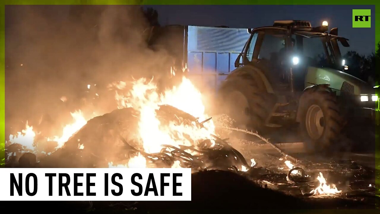 Trees go down and trash burns as Spanish farmers protest