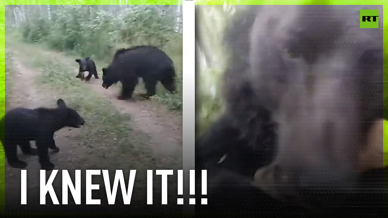 ‘I knew it!’ – Russian man knocked down by a bear