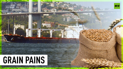 Ships packed with grain from Ukraine bypass Africa, head to the EU 🤷‍♂️