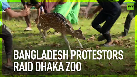 Bangladesh protestors raid Dhaka Zoo