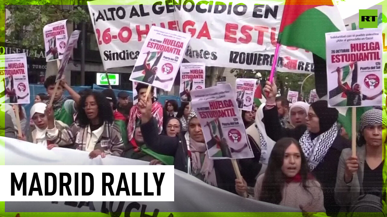 Massive rally held in support of Gaza in Madrid