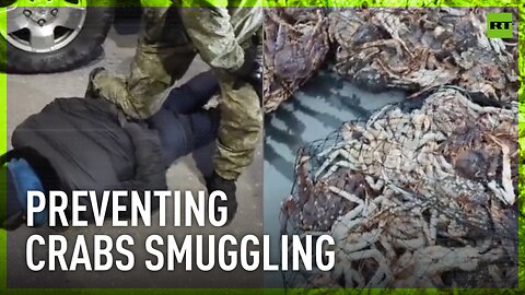 Russian FSB suppresses illegal trafficking of aquatic biological resources