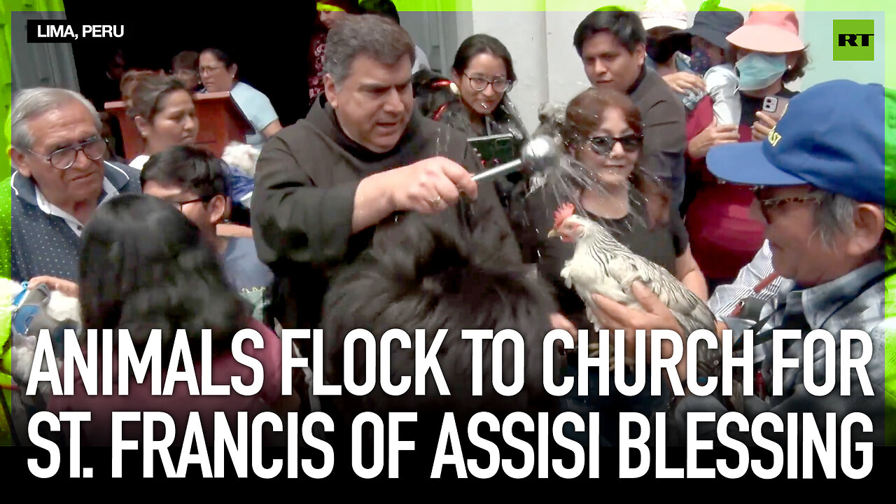 Animals flock to church for St. Francis of Assisi blessing