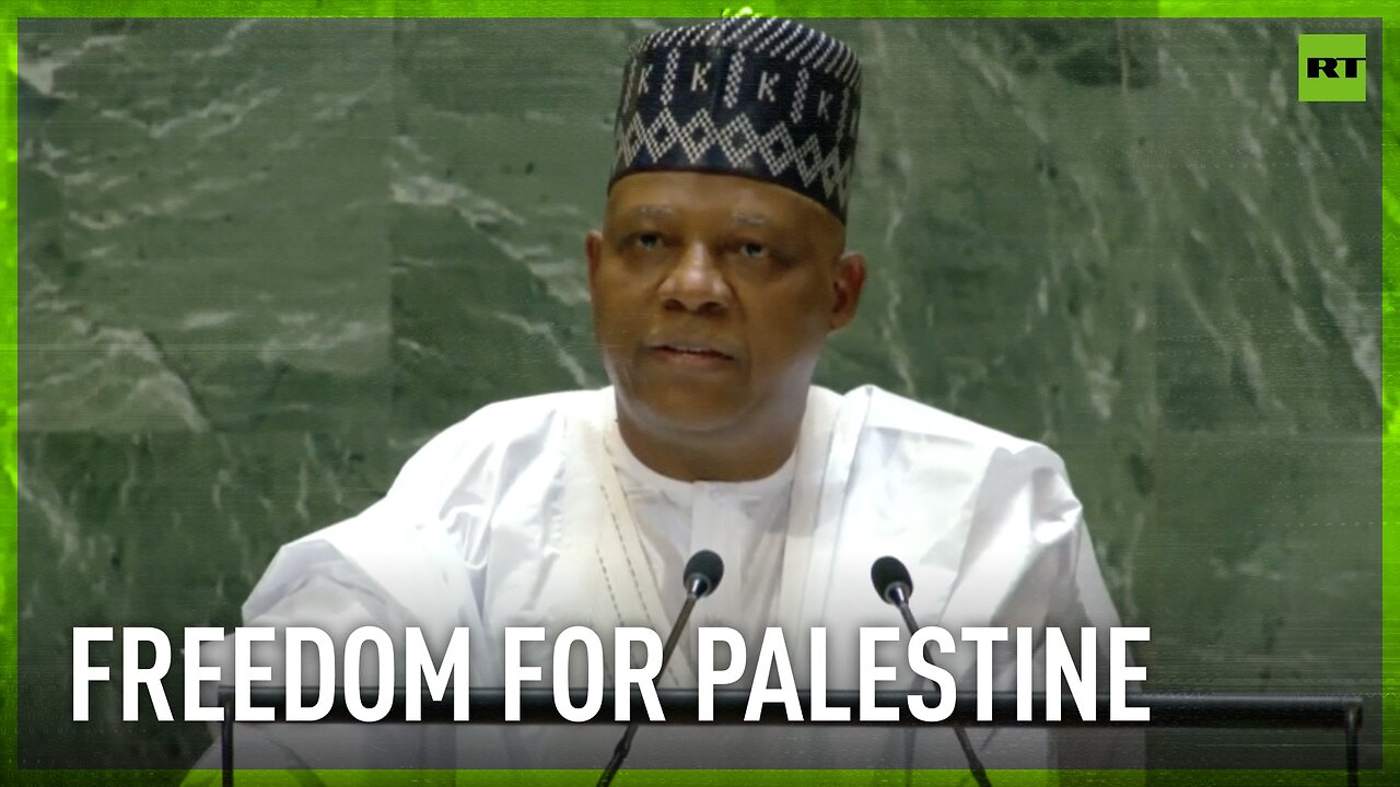 Palestinians deserve a home and independence – Nigeria