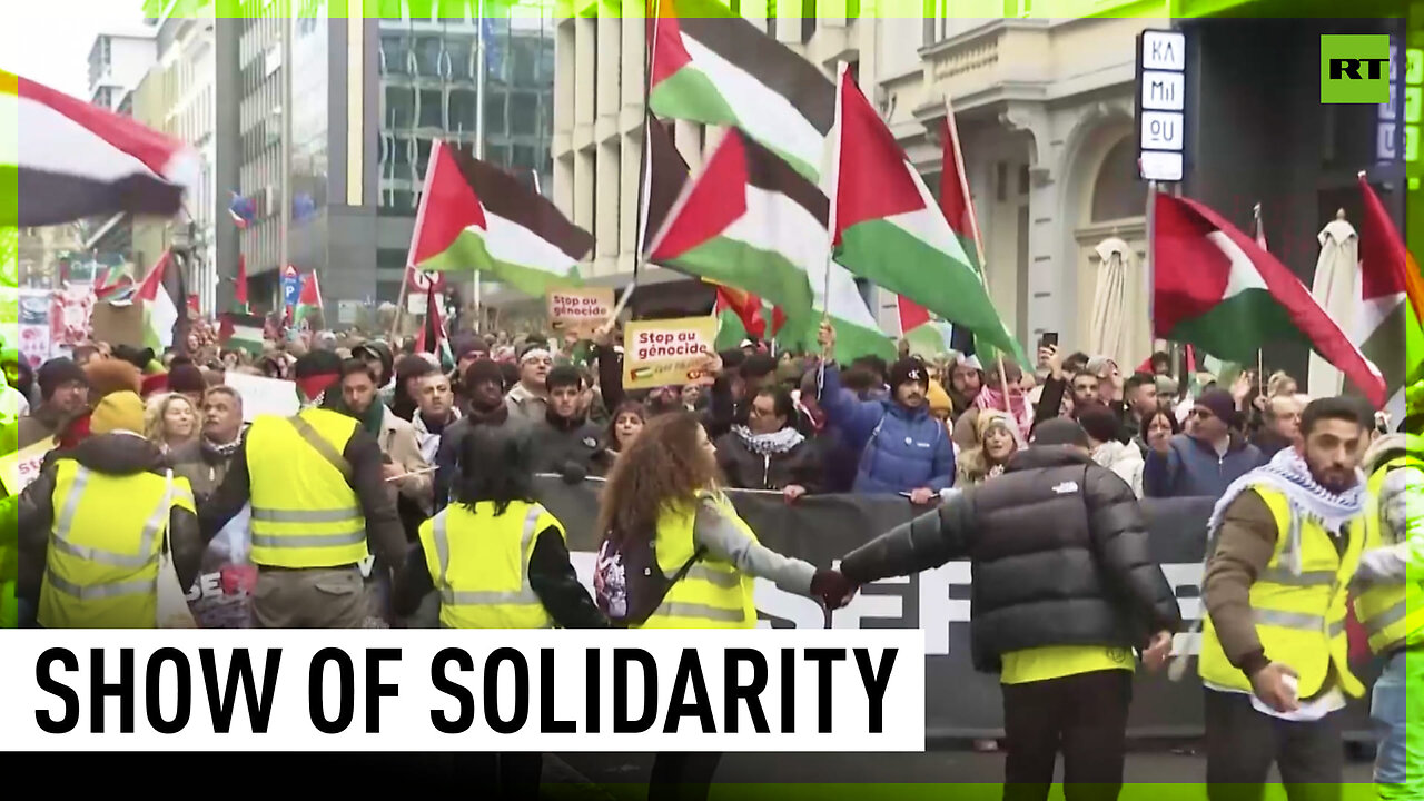 Thousands voice their support for Palestine in Belgium