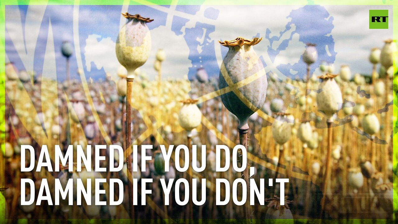 Afghanistan slashes poppy production... the West is unhappy