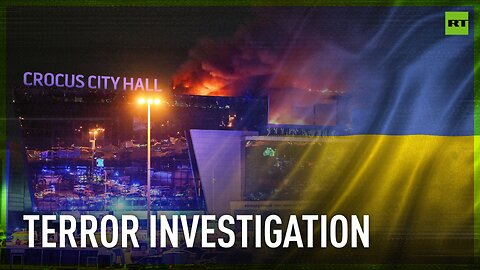 Crocus attack suspects admit they were told to flee to Ukraine