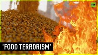 Ukraine torched 50,000 TONS of grain - Russia