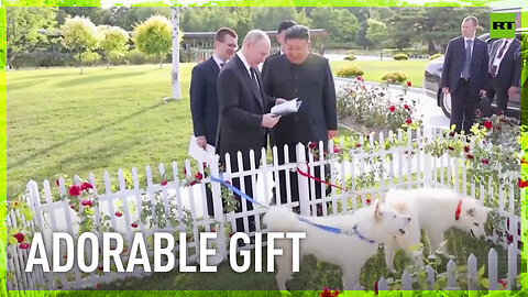 Kim gifts Putin rare Korean hunting dogs